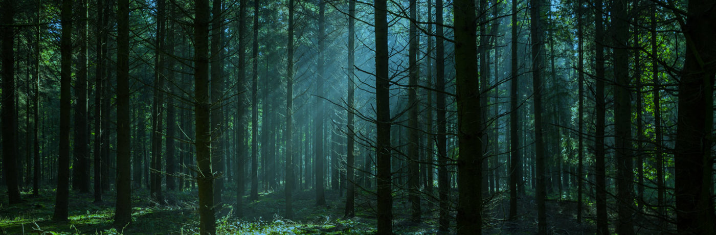 The path to your recovery starts here.