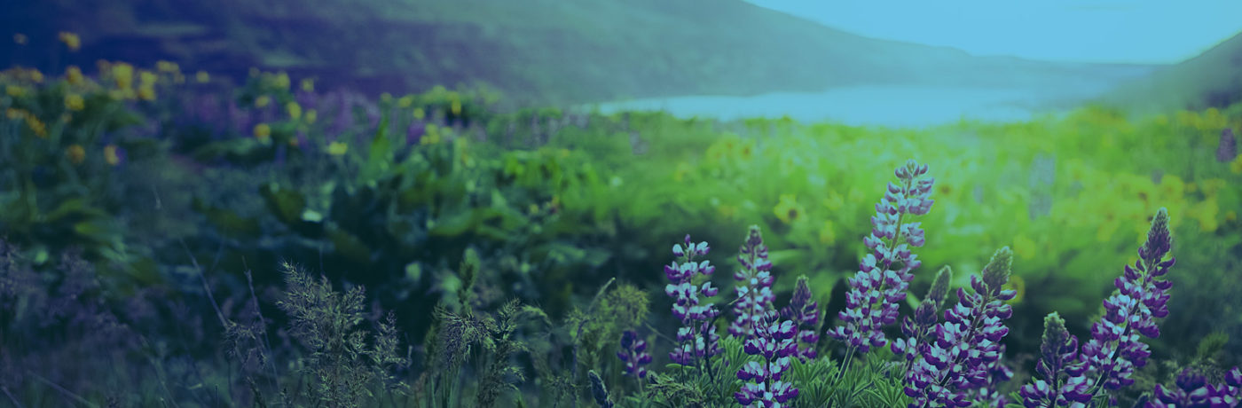 Full Continuum of Care 