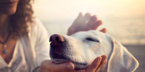 Support that fits into your life.